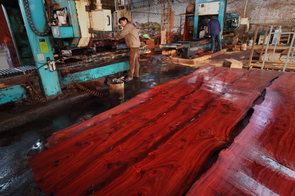 Chinese Rosewood Furniture Antique Pearl Inlaid China Rosewood Demand For Furniture Is Decimating A Rare Slow